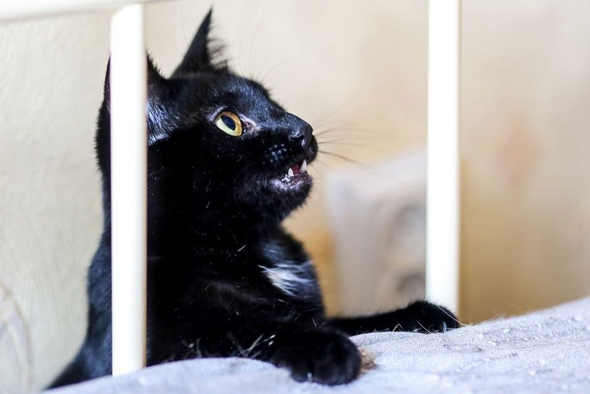 Амина ждет своего друга Амина ждет своего друга