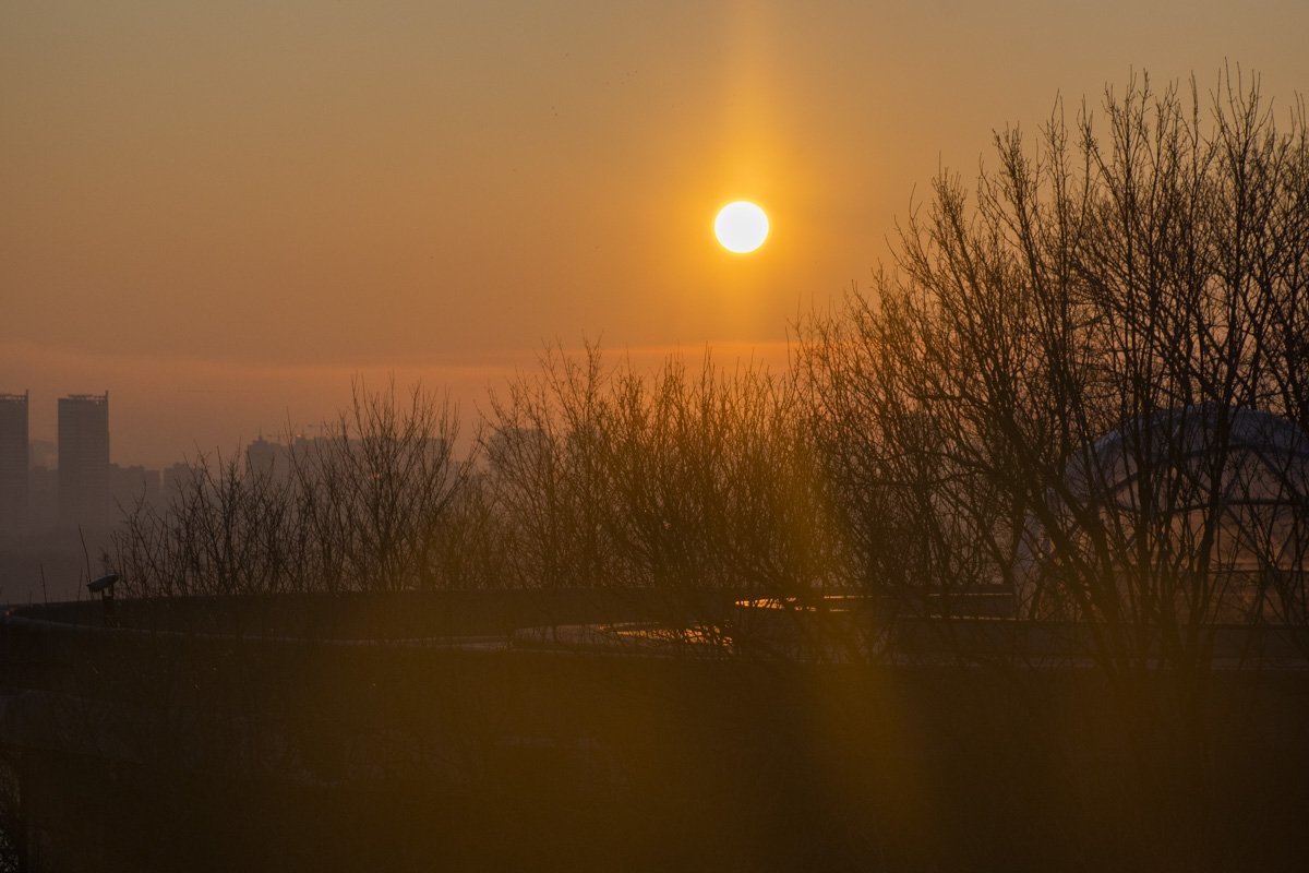 Яркое солнце февральского утра