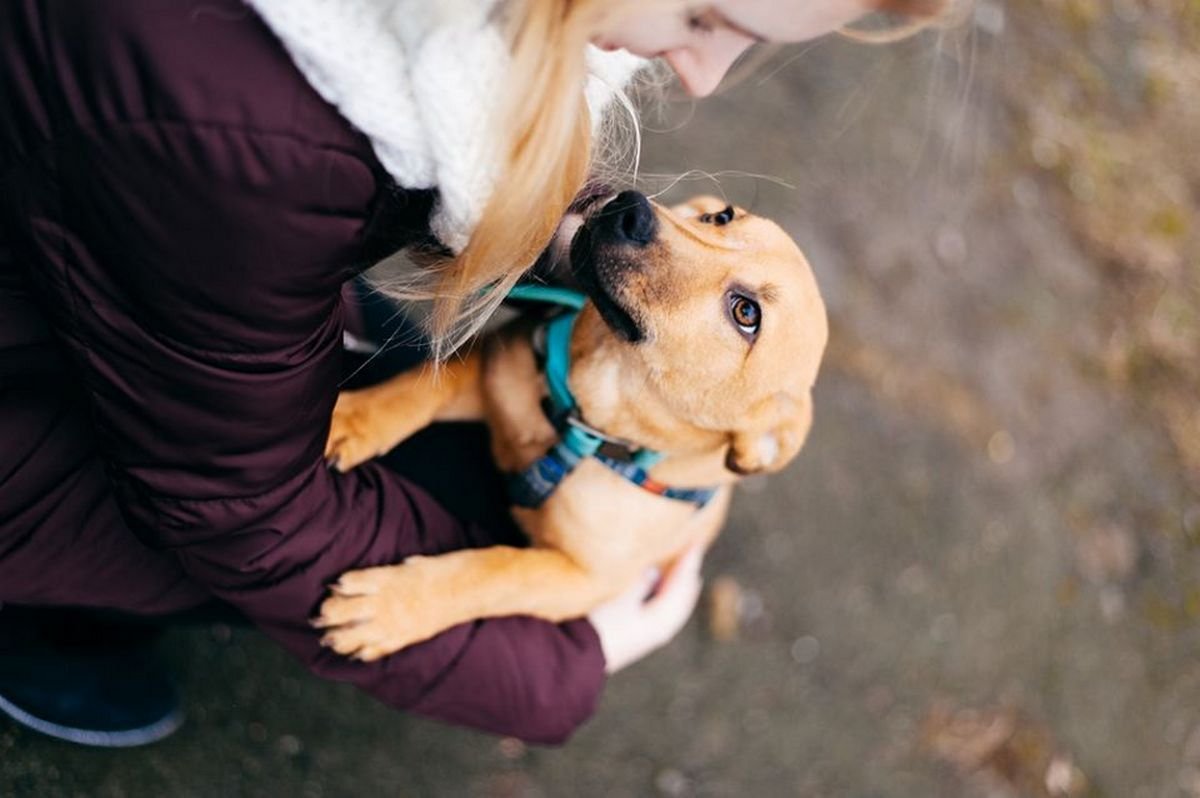 Малышка Келли готова к встрече со своим новым другом и хочет делится любовью Малышка Келли готова к встрече со своим новым другом и хочет делится любовью