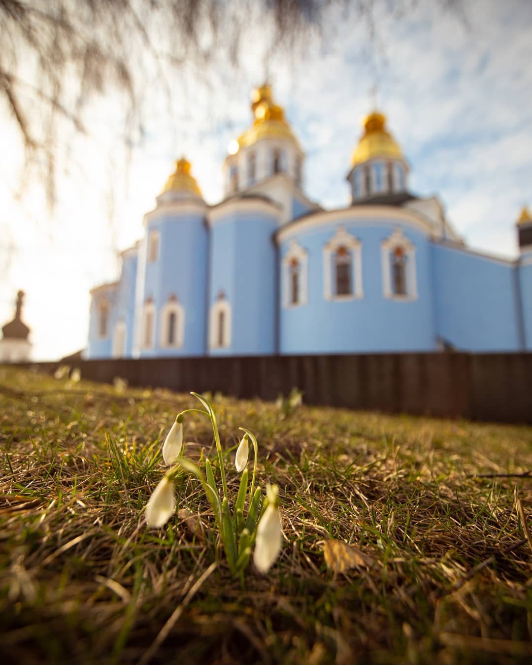 Фото @istetsen не только получилось очень ясным и солнечным, но и напомнило, что первоцветы в Киеве появились уже в феврале Фото @istetsen не только получилось очень ясным и солнечным, но и напомнило, что первоцветы в Киеве появились уже в феврале