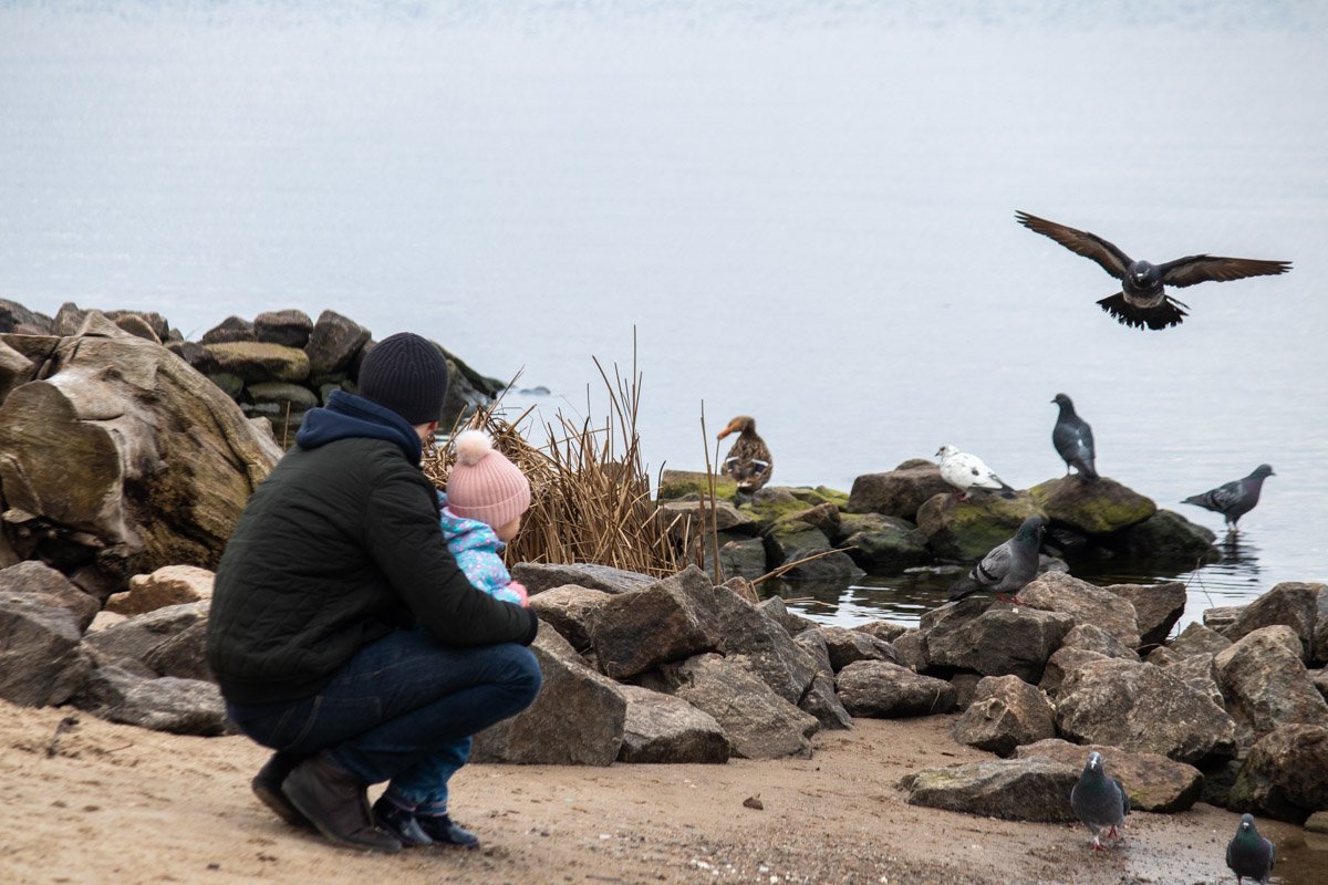 Чем же заниматься в такой день? Можно заняться орнитологией Чем же заниматься в такой день? Можно заняться орнитологией