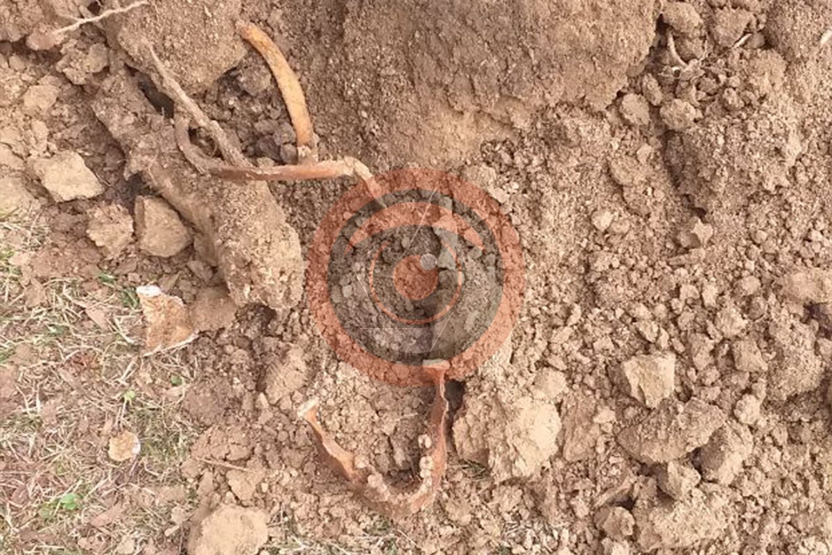 Во время земельных работ коммунальщики нашли человеческие останки Во время земельных работ коммунальщики нашли человеческие останки