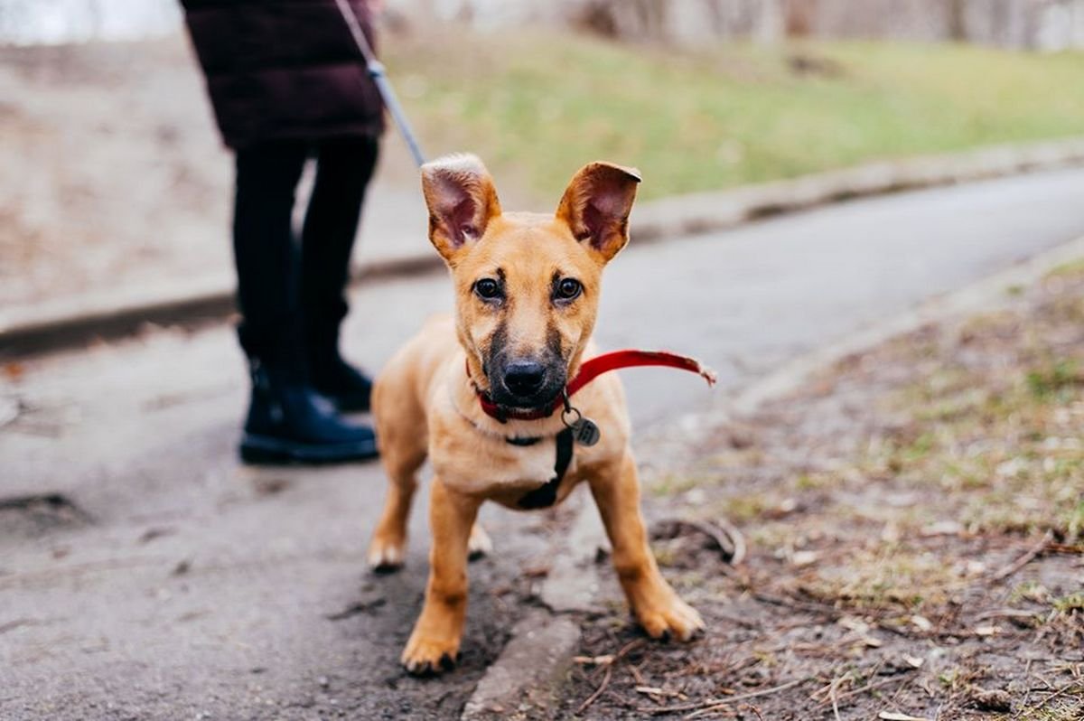 Грейс ждет вас на чаек и надеется стать вашим другом