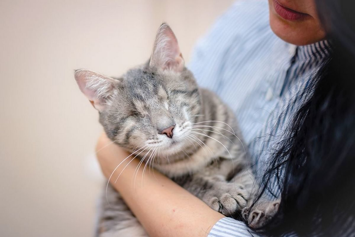 Чарли ждет вашей любви и готов дарить вам то же 