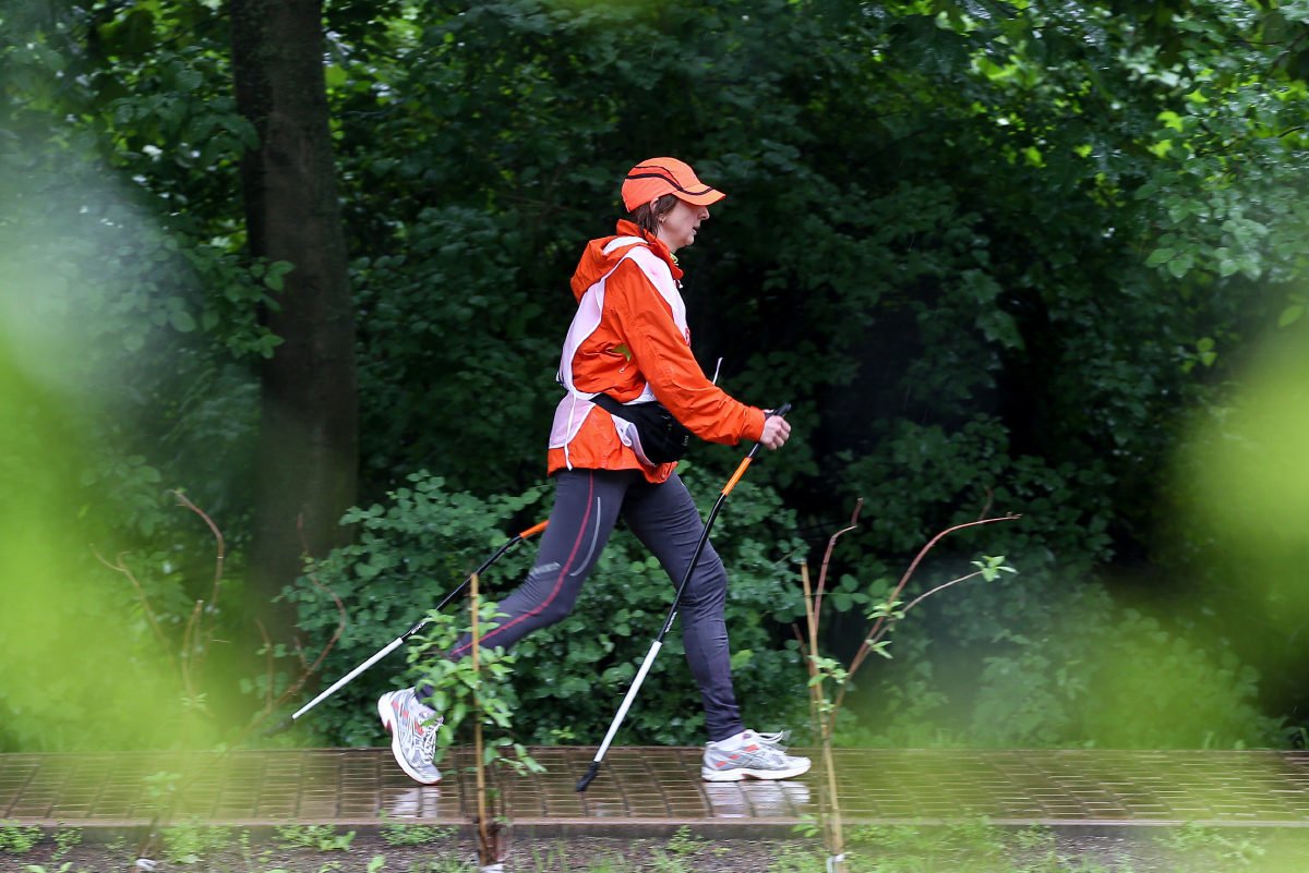 Скандинавская ходьба Скандинавская ходьба
