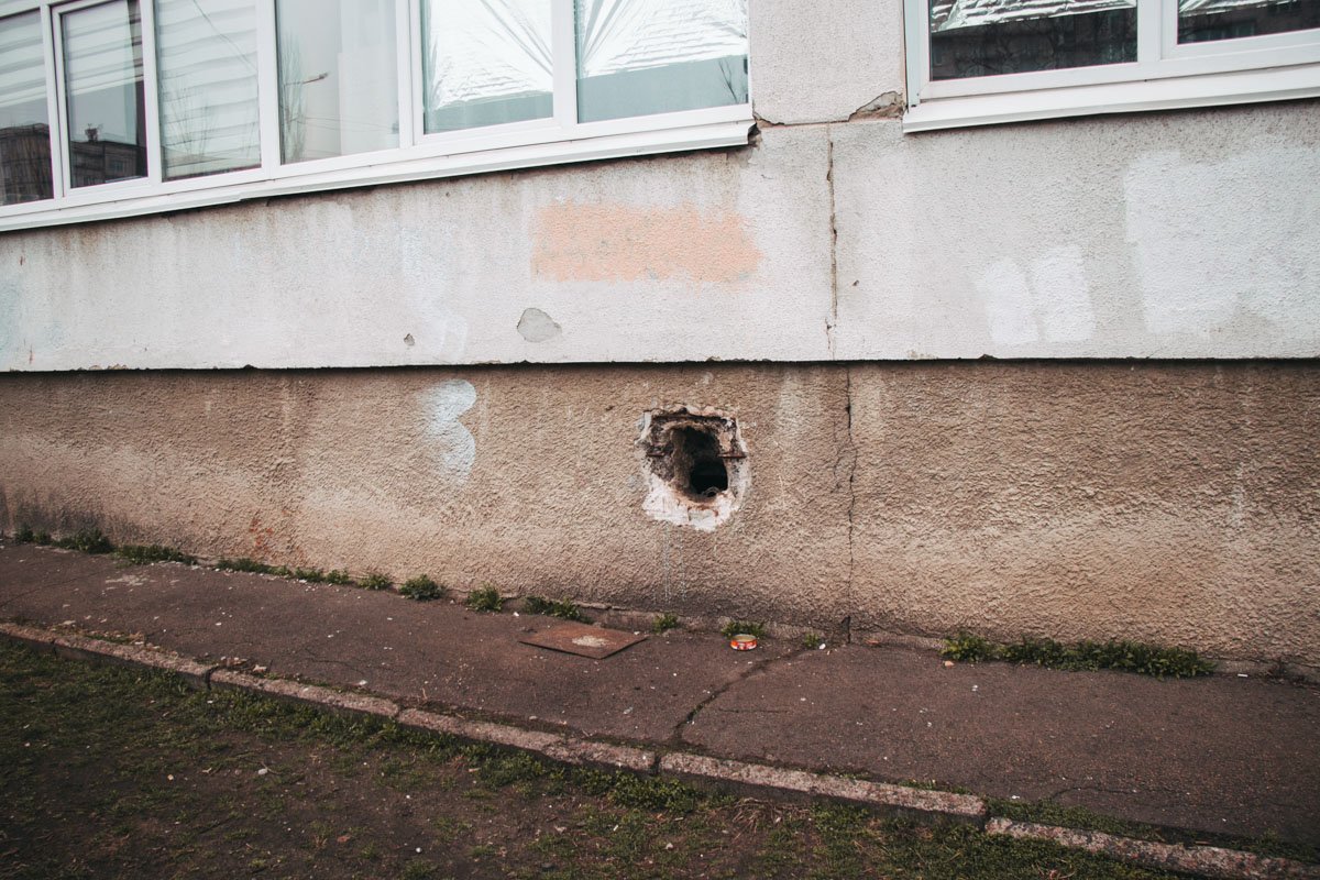 Наверное, тут живут котики