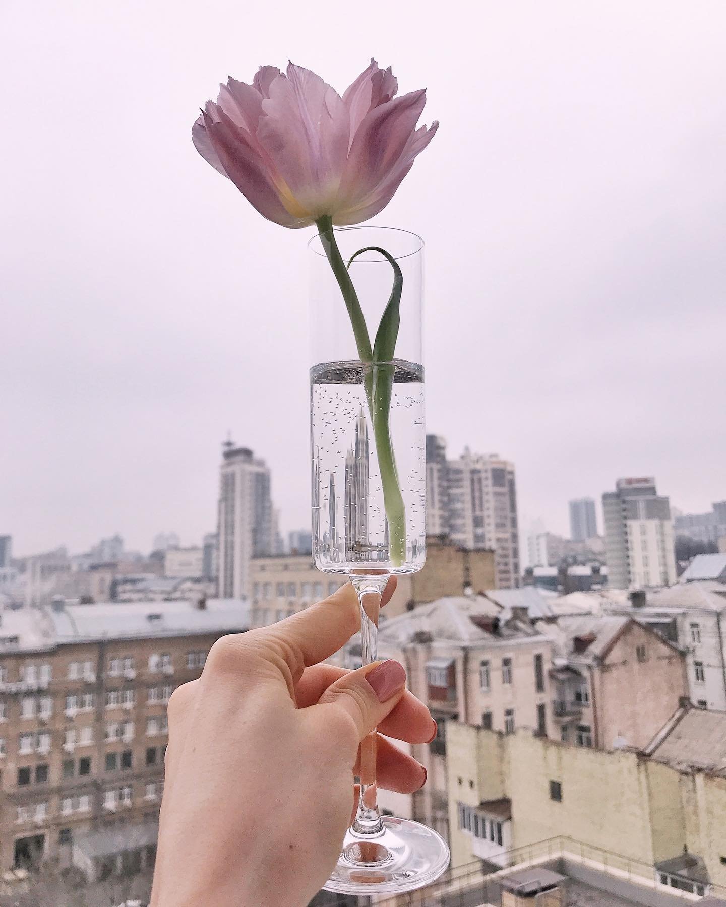 Нежность от @okotrus Нежность от @okotrus