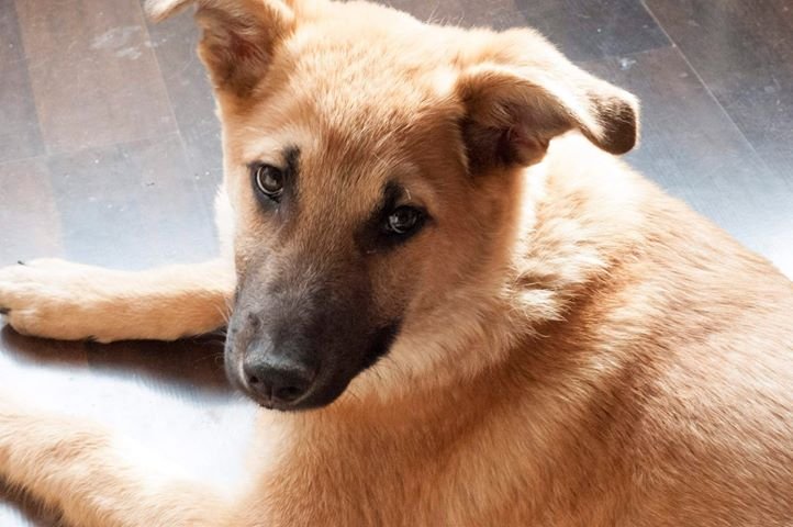 Патрика с братьями и сестрами нашли на улице