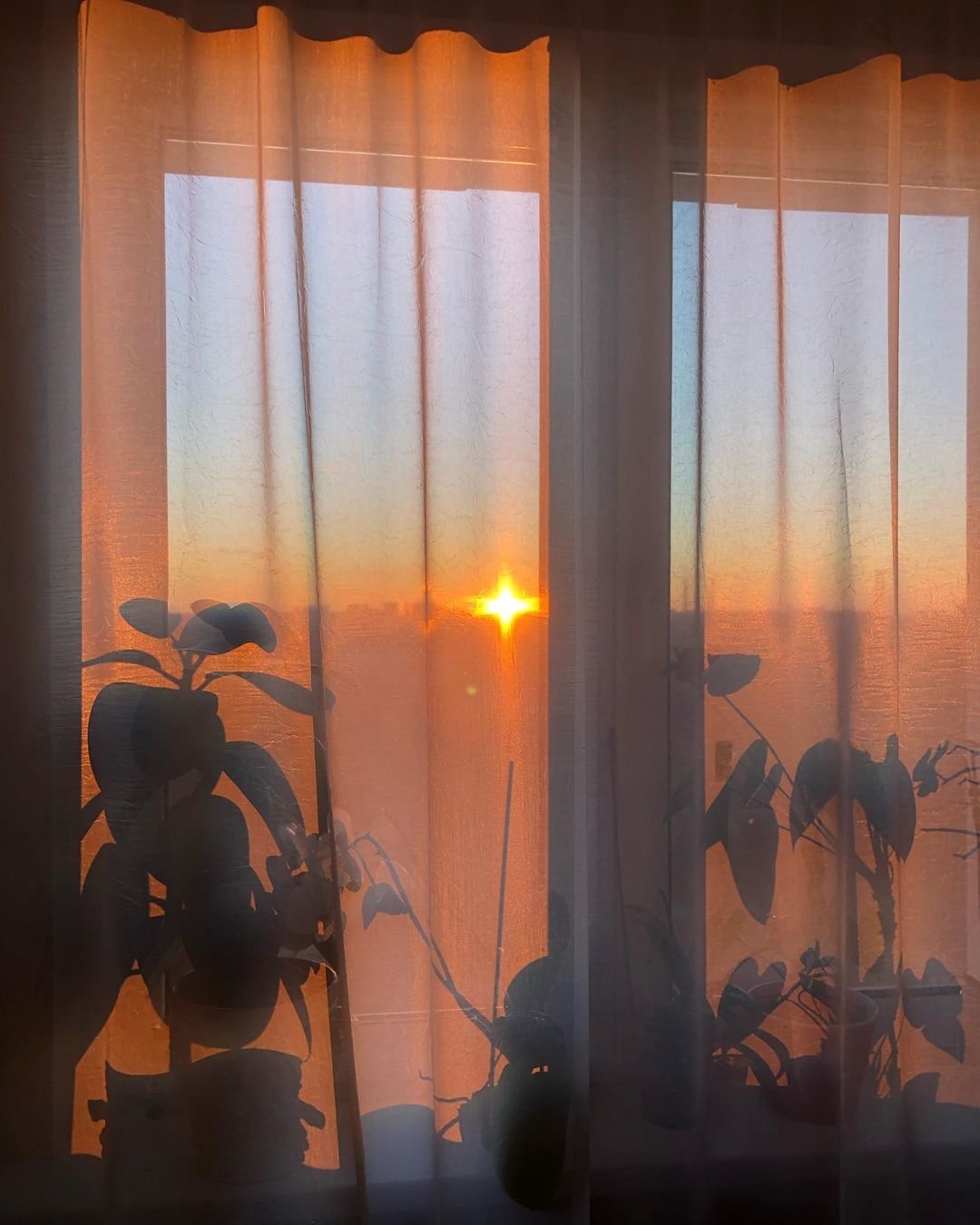 В ближайшее время наслаждаться закатами в Киеве будем вот так. Фото - @tarikoff_ В ближайшее время наслаждаться закатами в Киеве будем вот так. Фото - @tarikoff_