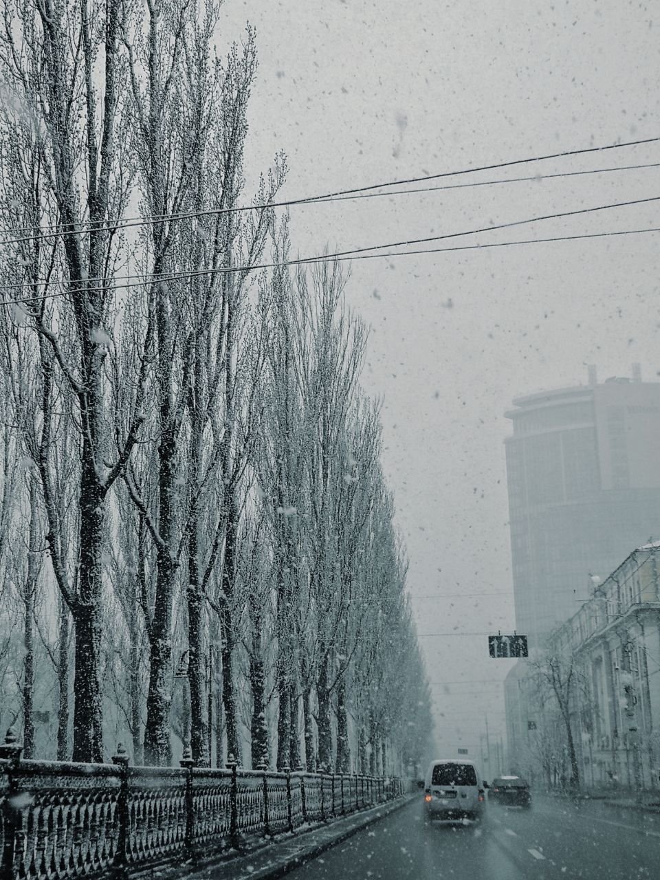 Бульвар Шевченко