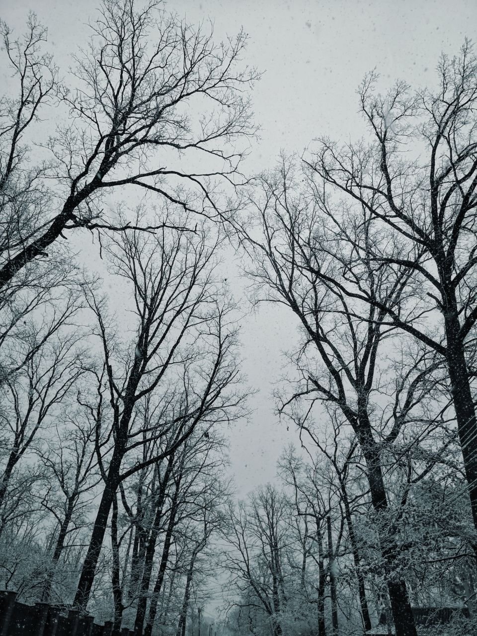 Есть в этой погоде как своя романтика, так и мистика 