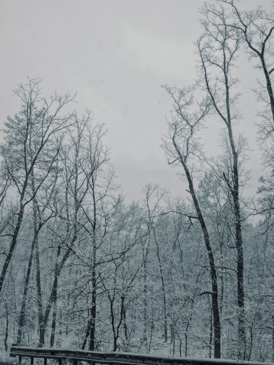 И, кажется, в такую погоду мысли совсем не об эпидемии 