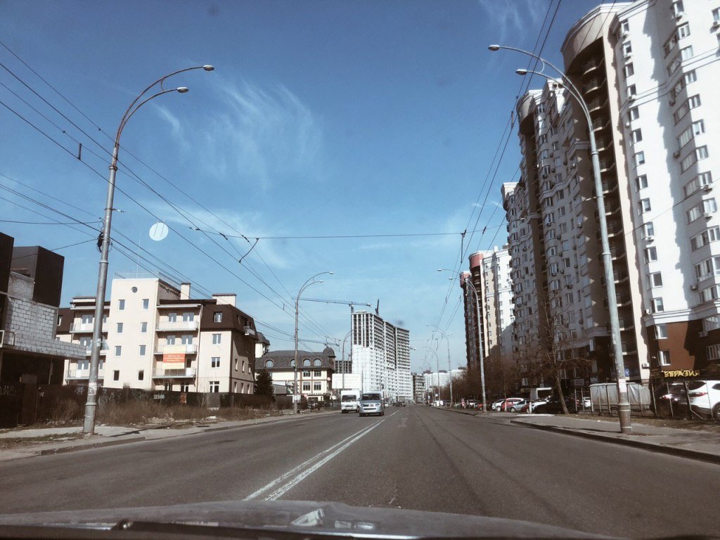 Академика Вильямса, Голосеевский район