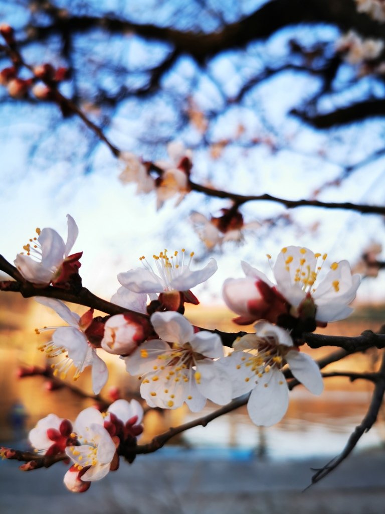 Весна, дай нам надежду, что скоро все вернется! 