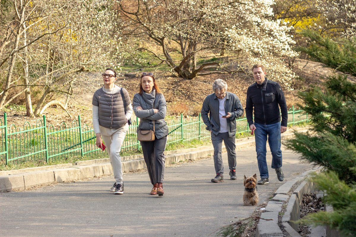 С 6 апреля выходить без маски на улицу запрещено С 6 апреля выходить без маски на улицу запрещено