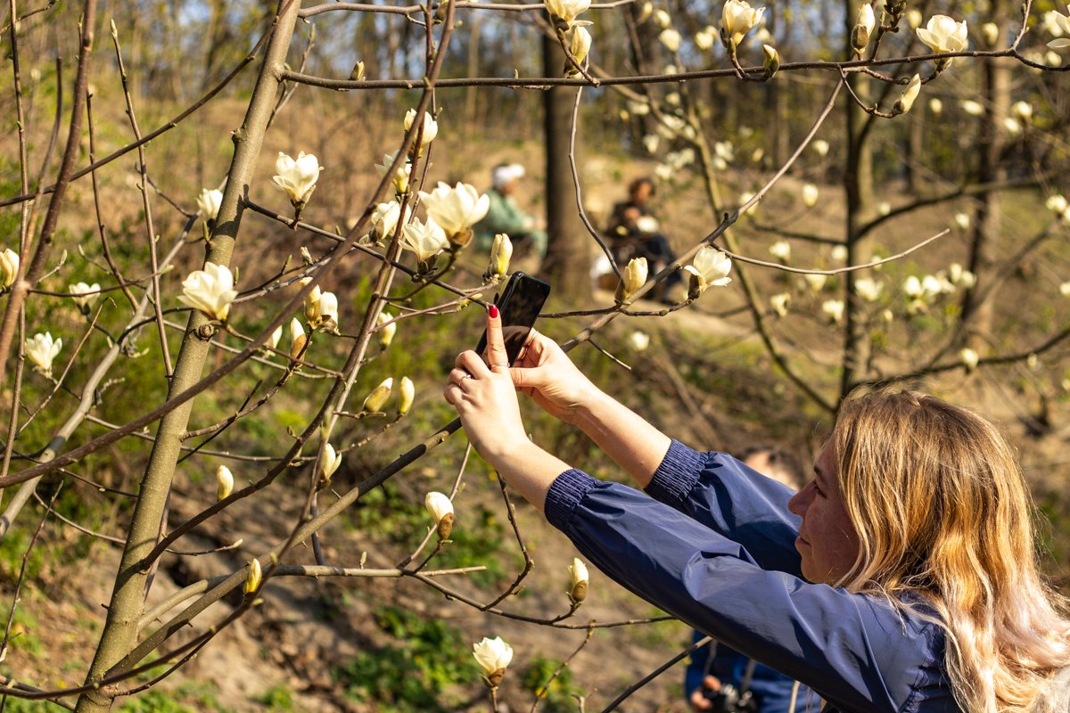Невозможно пройти мимо, и не сделать фото Невозможно пройти мимо, и не сделать фото