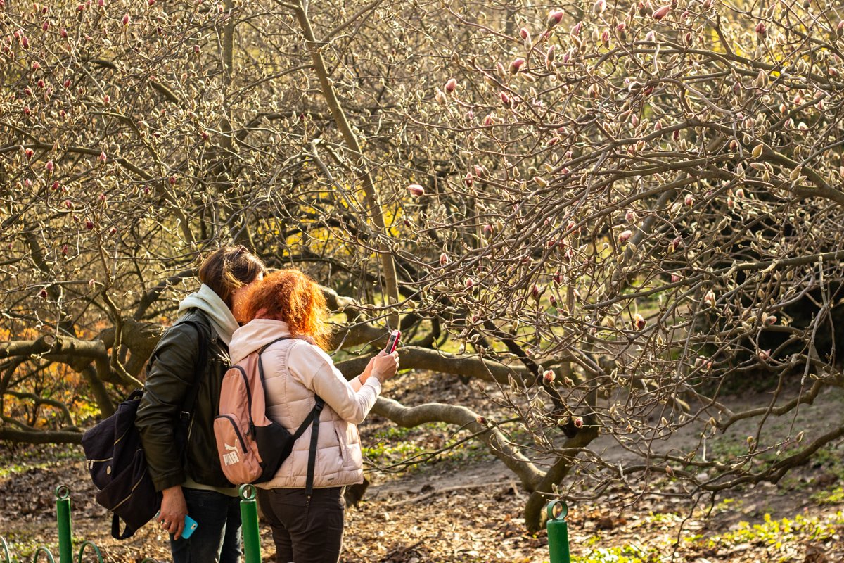 Говорим же, без фото никуда Говорим же, без фото никуда