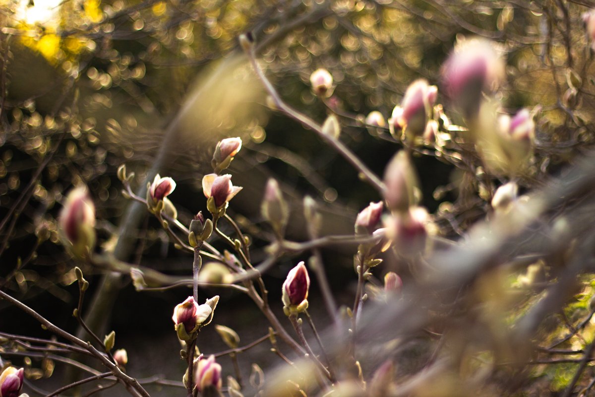 Особенно в лучах заходящего солнца Особенно в лучах заходящего солнца