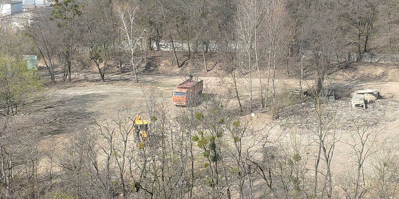 Ранее зеленая зона превратилась в пустырь Ранее зеленая зона превратилась в пустырь