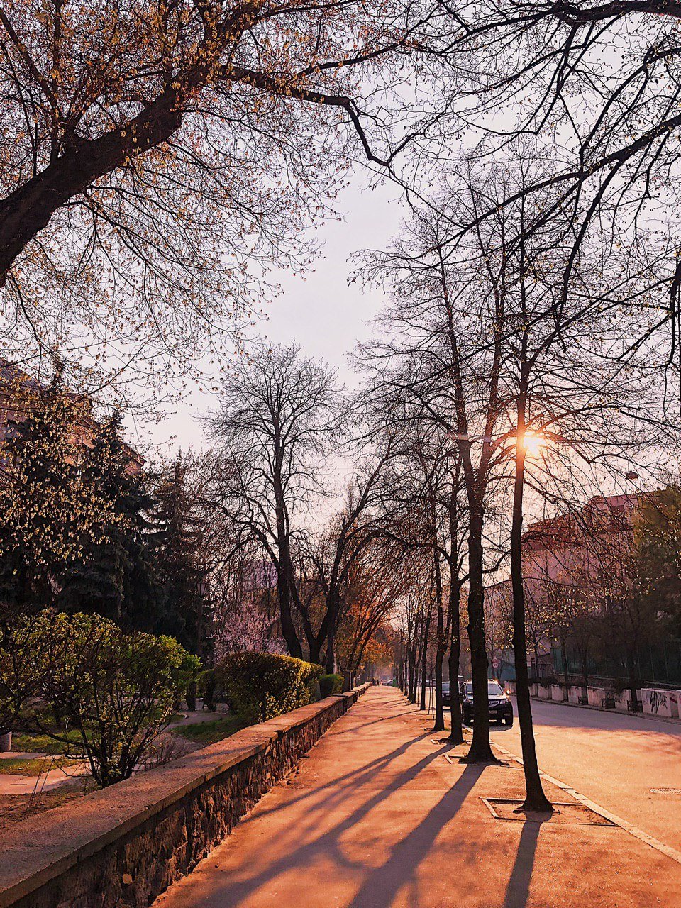 Смотреть вдаль Смотреть вдаль