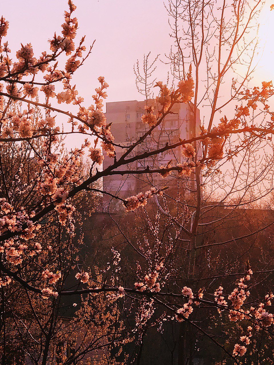 Если бы мы могли видеть Киев таким, каким его видит Макс! Если бы мы могли видеть Киев таким, каким его видит Макс!