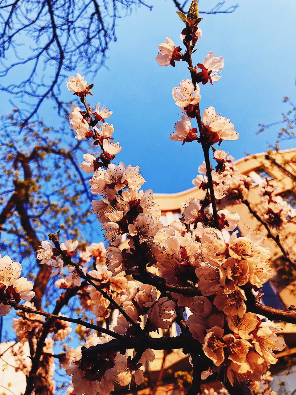 В каждой детали любовь В каждой детали любовь