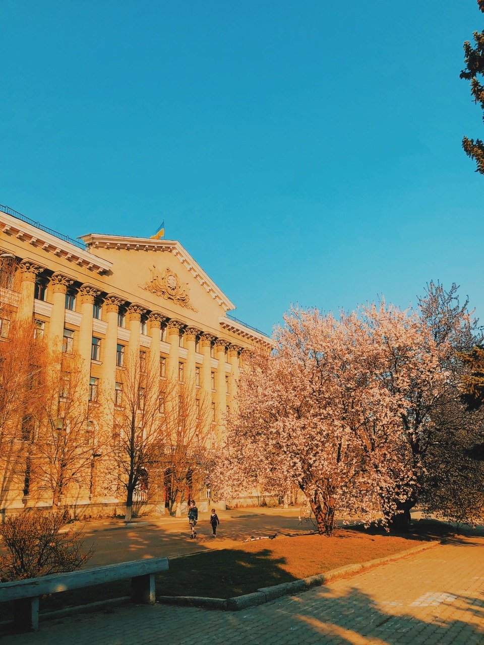 И, кстати, фото Макс делал на телефон И, кстати, фото Макс делал на телефон