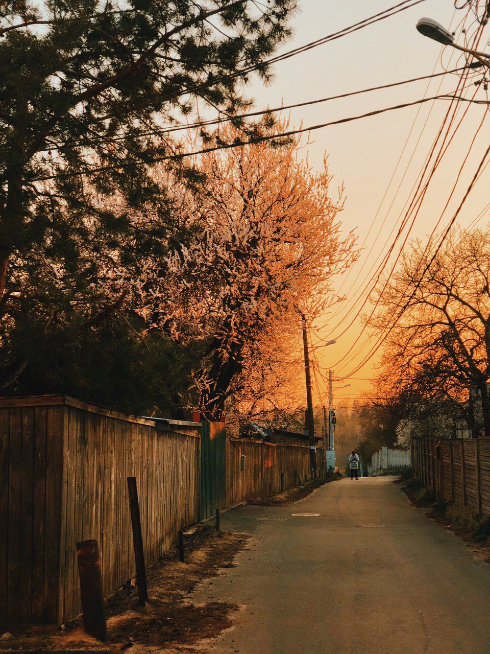 Это же потрясающе! Это же потрясающе!