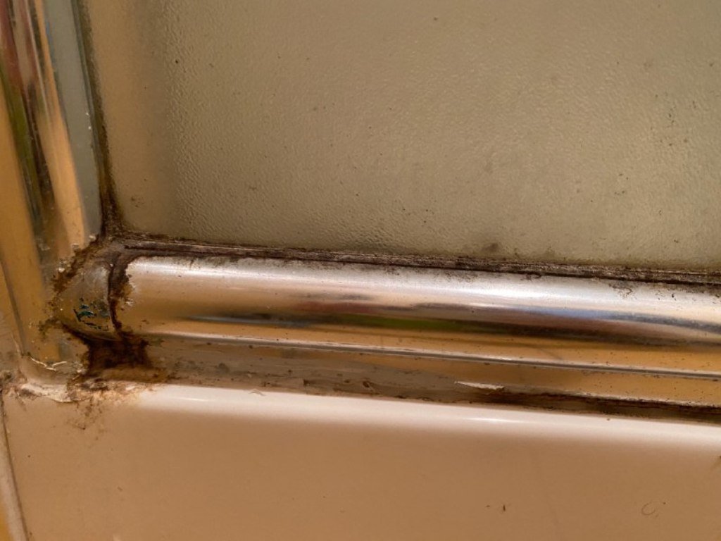 Грибок и плесень Грибок и плесень