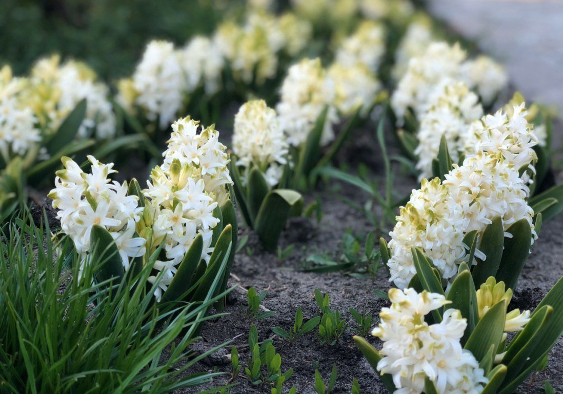 Хочется немного разбавить информационное пространство яркими красками и позитивными эмоциями Хочется немного разбавить информационное пространство яркими красками и позитивными эмоциями