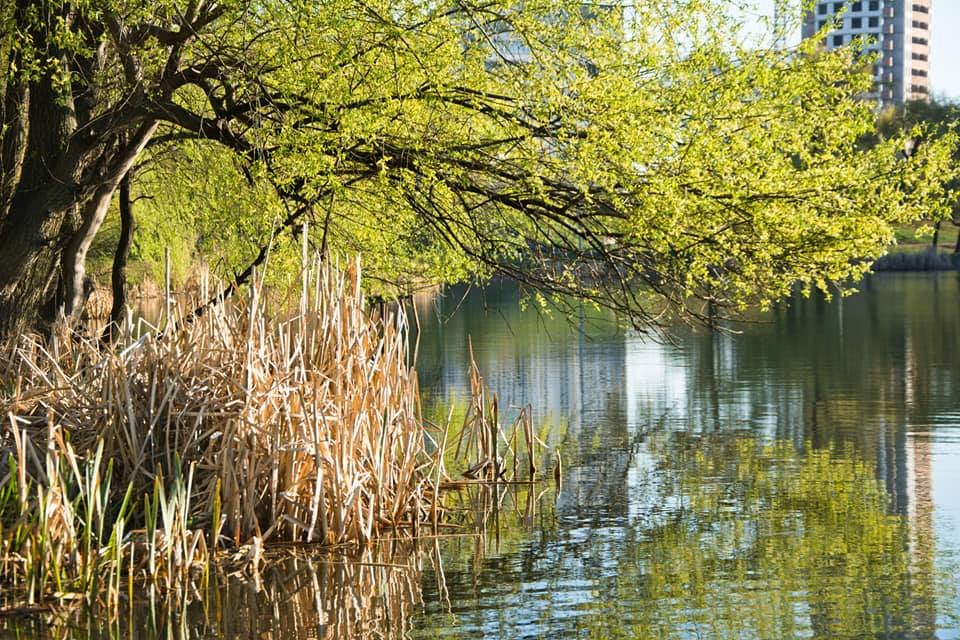 Утреннее умиротворение Утреннее умиротворение