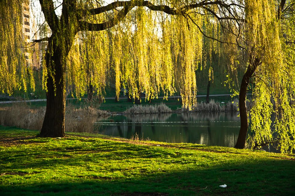 Озеро в 6 утра Озеро в 6 утра