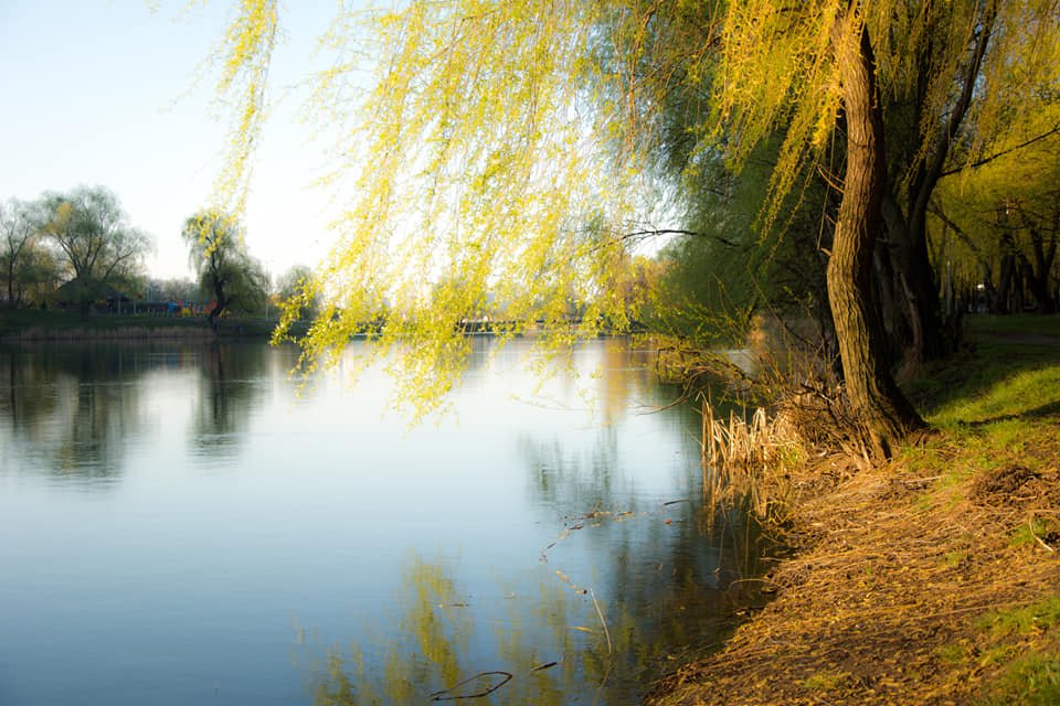 Кстати, длина озера около 3 километров, ширина — до 600 метров Кстати, длина озера около 3 километров, ширина — до 600 метров