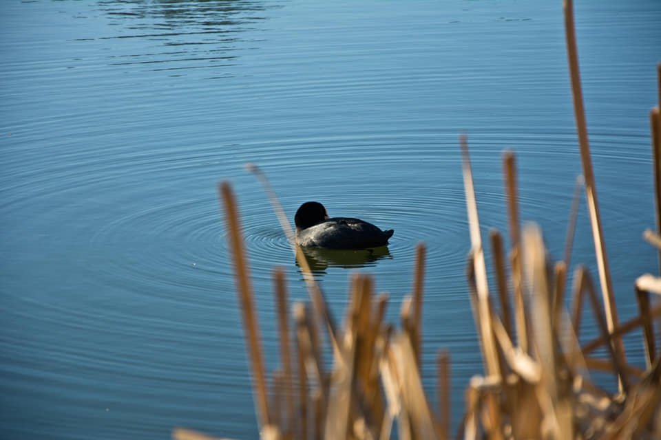 Идеальные круги Идеальные круги