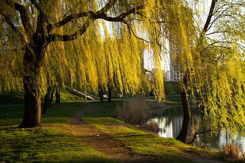 Остановить мгновение Остановить мгновение