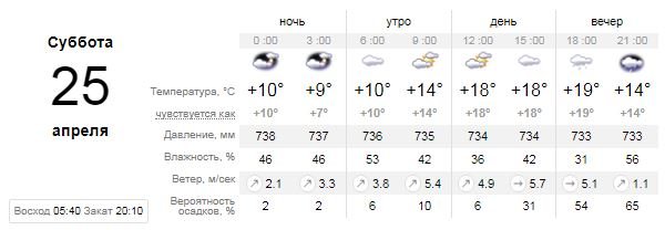 Погода на 25 апреля: в Киеве будет пасмурно и пойдет мелкий дождь 1