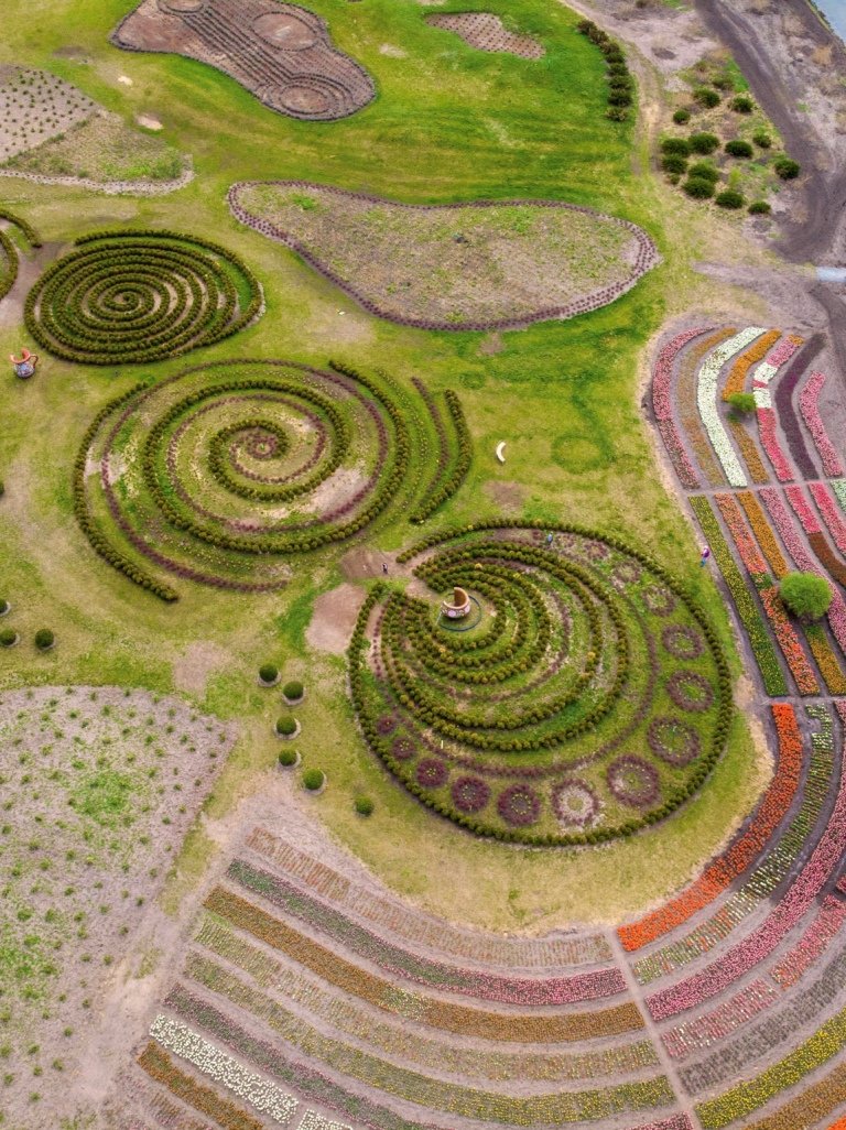 «Добропарк» — это новый современный дендропарк под Киевом «Добропарк» — это новый современный дендропарк под Киевом