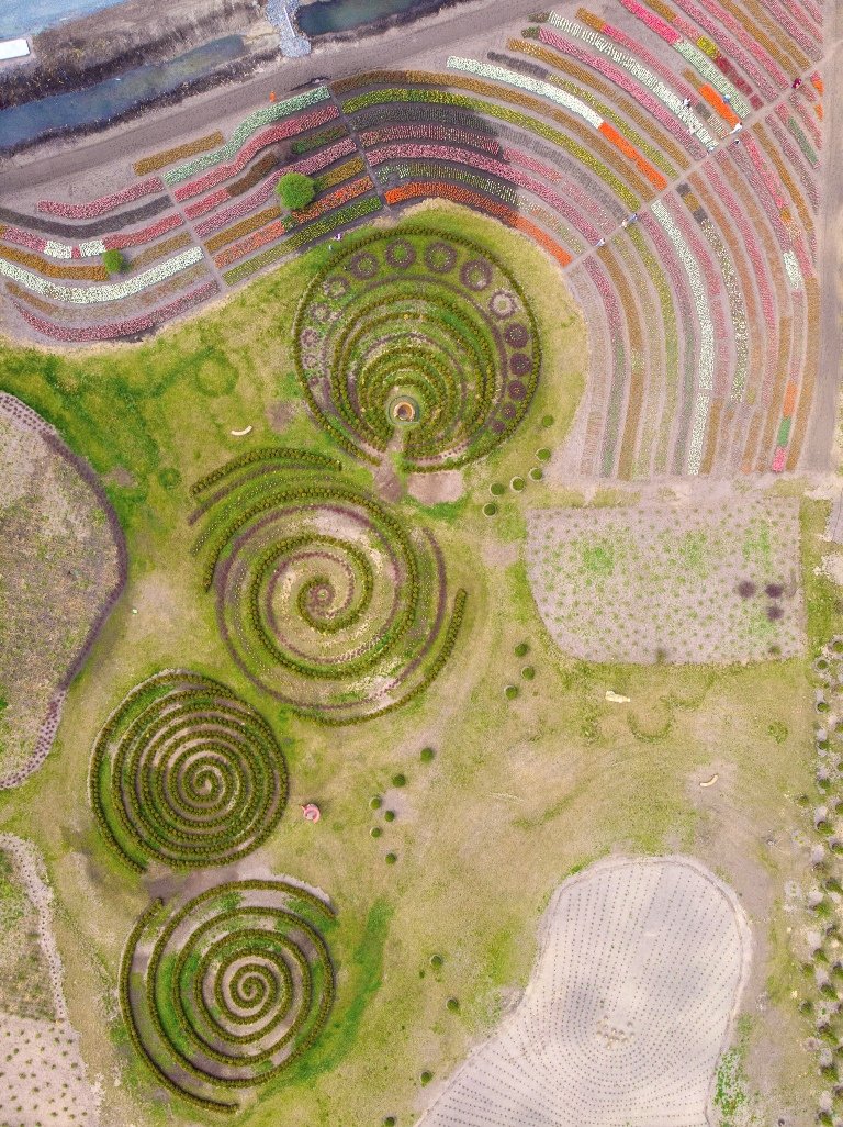 8 километров — это сумма грядок на этой аллее тюльпанов 8 километров — это сумма грядок на этой аллее тюльпанов