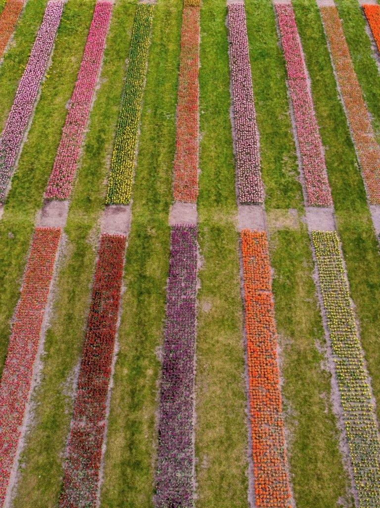 Но с каждым годом их число будет увеличиваться Но с каждым годом их число будет увеличиваться