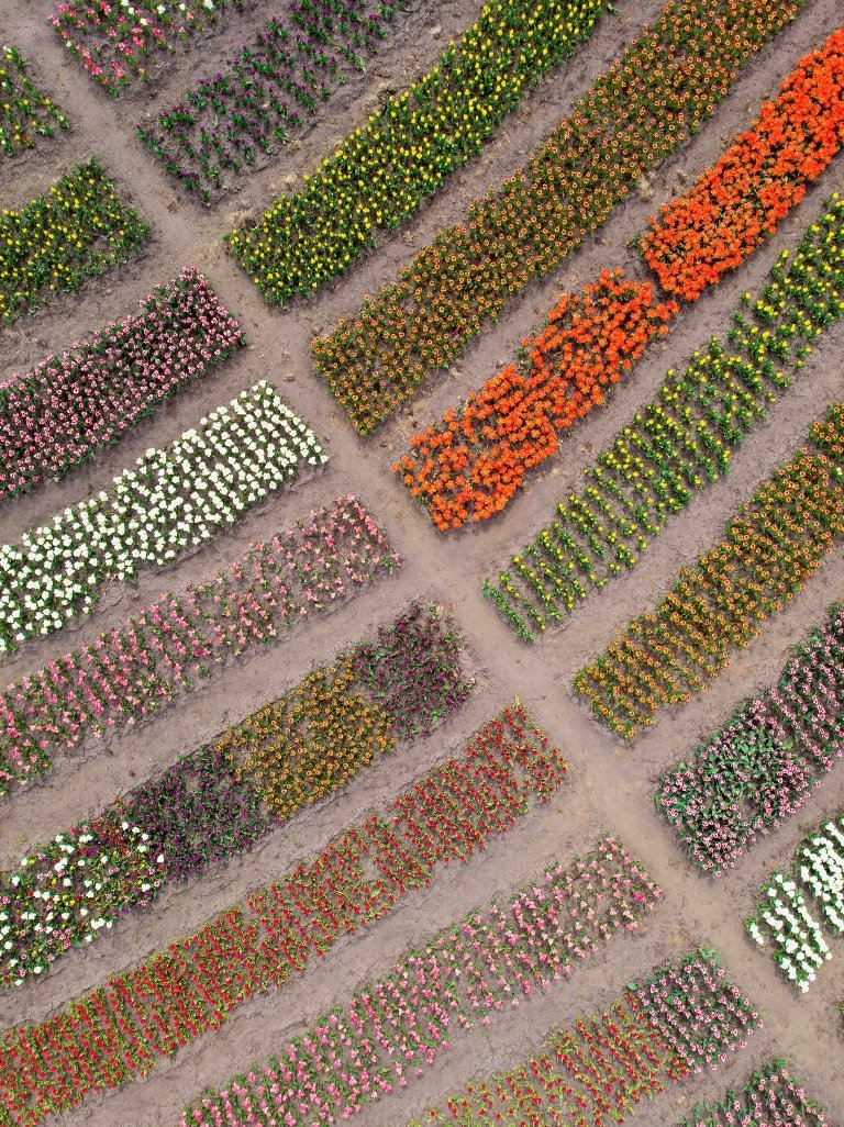 С высоты все выглядит совсем иначе С высоты все выглядит совсем иначе