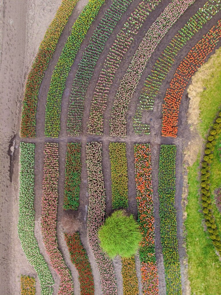 Словно бисером вышиты Словно бисером вышиты