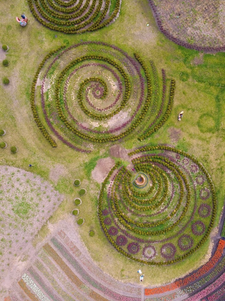 То, что с земли - клумбы, с высоты приобретают новые формы То, что с земли - клумбы, с высоты приобретают новые формы