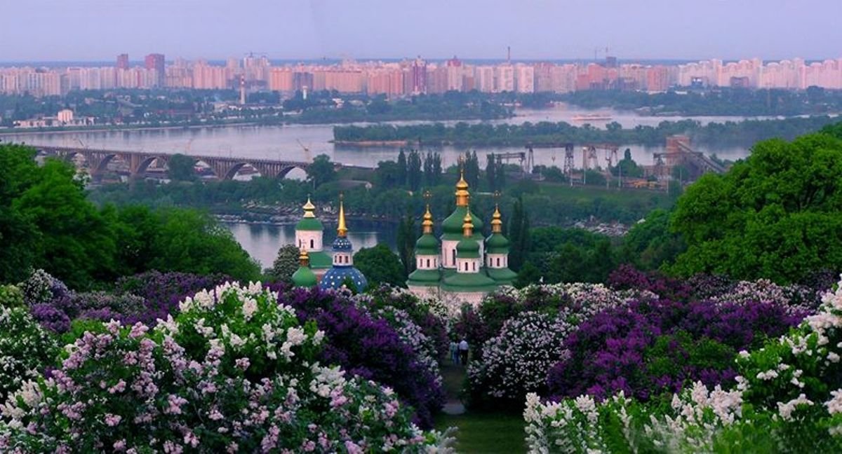 Там сейчас цветет сирень Там сейчас цветет сирень