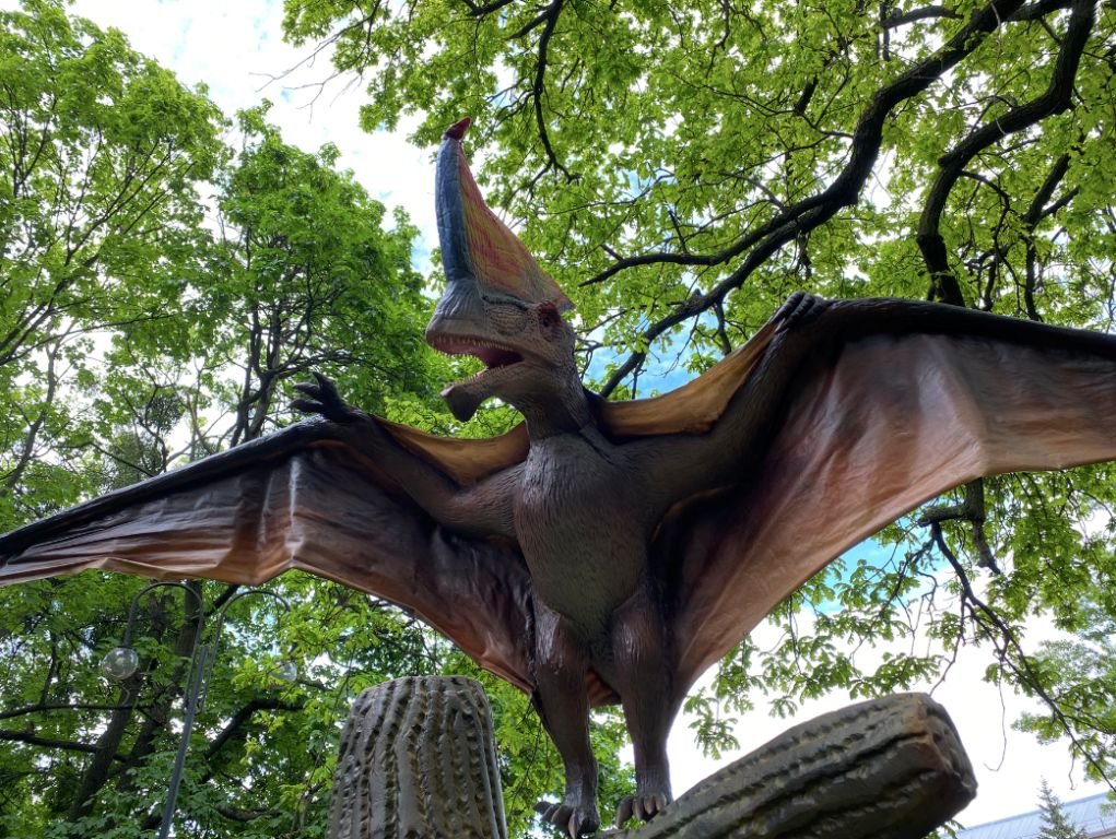 Экспозицию уже увидели тысячи зрителей в нескольких странах