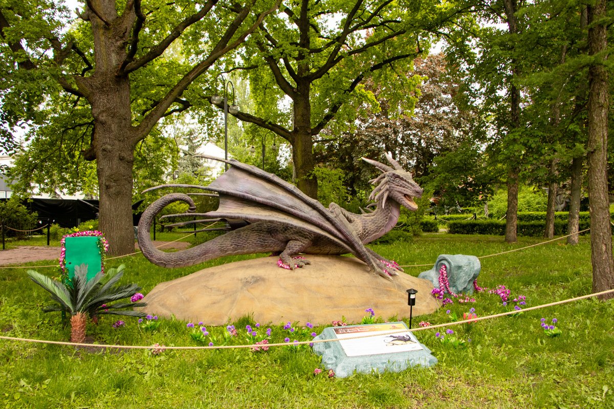 И проведет в удивительный мир