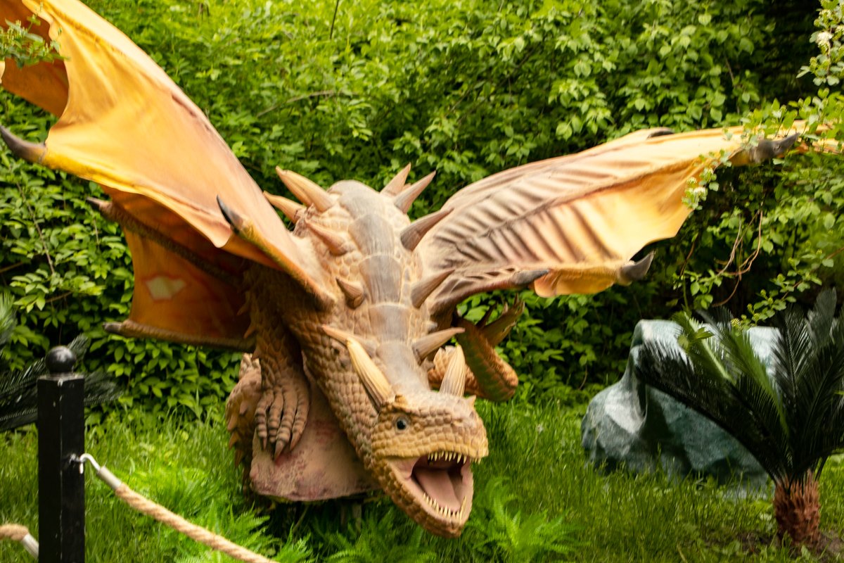 Возле каждого оборудован датчик движения, благодаря которому экспонаты оживают