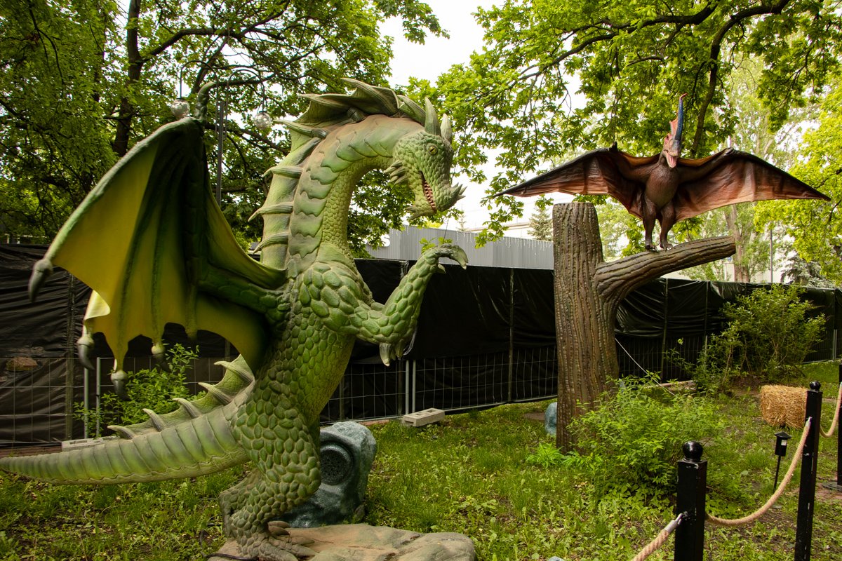 Они шевелят лапами, крыльями и глазами Они шевелят лапами, крыльями и глазами