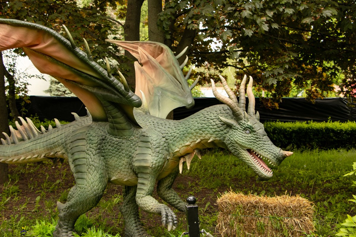 Когда будете на выставке, обратите внимание на их глаза Когда будете на выставке, обратите внимание на их глаза