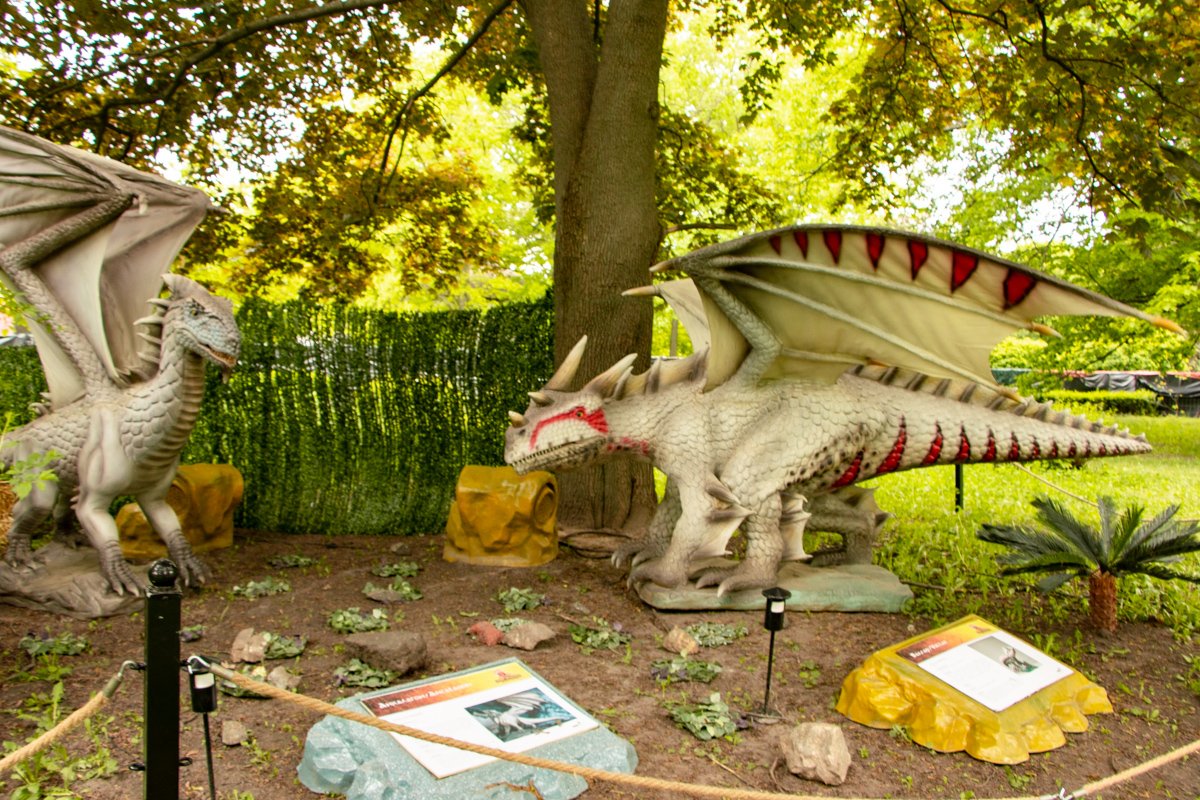 Всего на выставке более 20 драконов Всего на выставке более 20 драконов