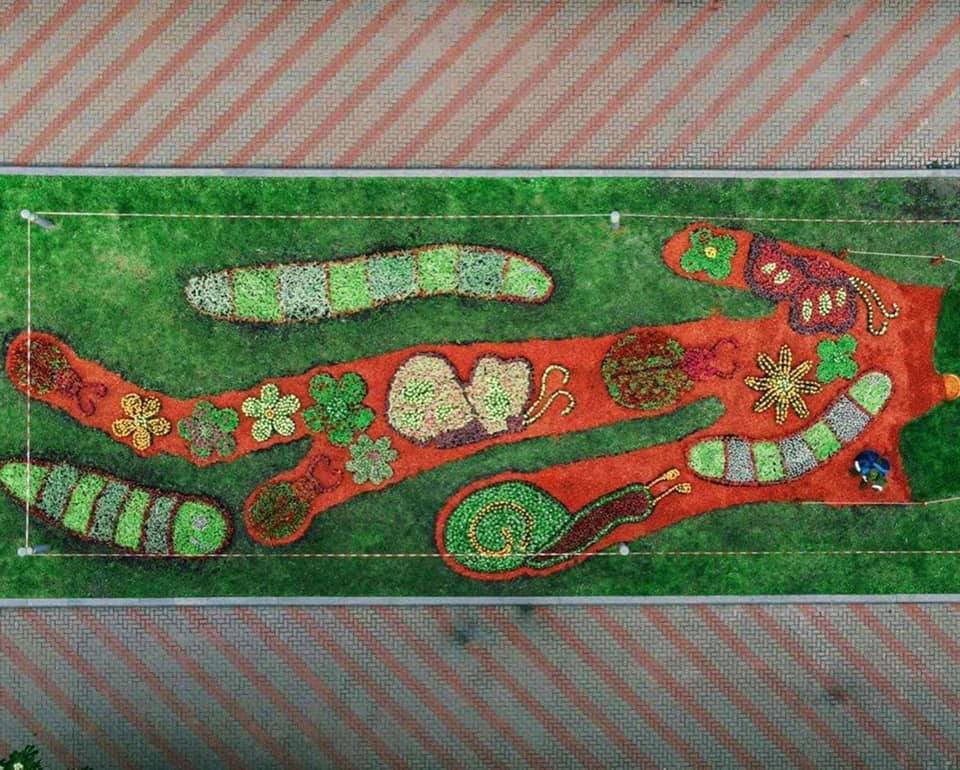 В киевском парке “Победа” с 28 мая будет проходить выставка цветов